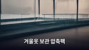 겨울옷 보관 압축팩으로 옷장 공간 확보하는 꿀팁 대방출