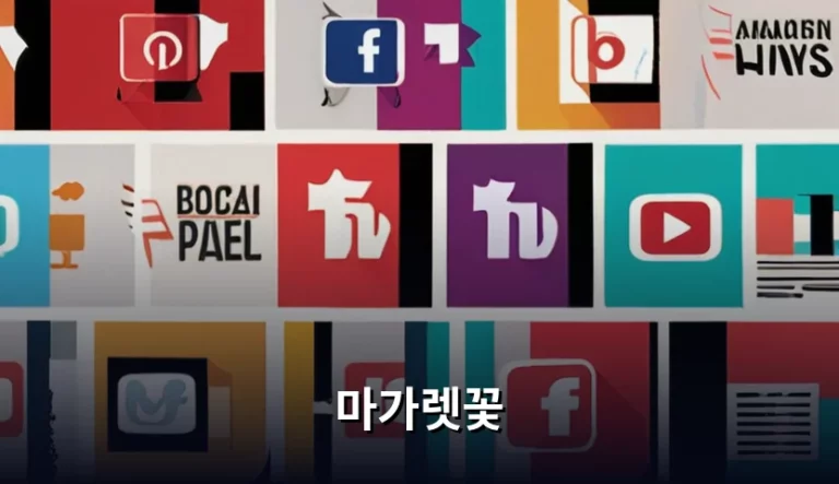 마가렛꽃 키우기 방법과 계절별 관리 팁